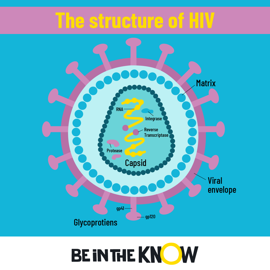 What Are Hiv And Aids Be In The Know